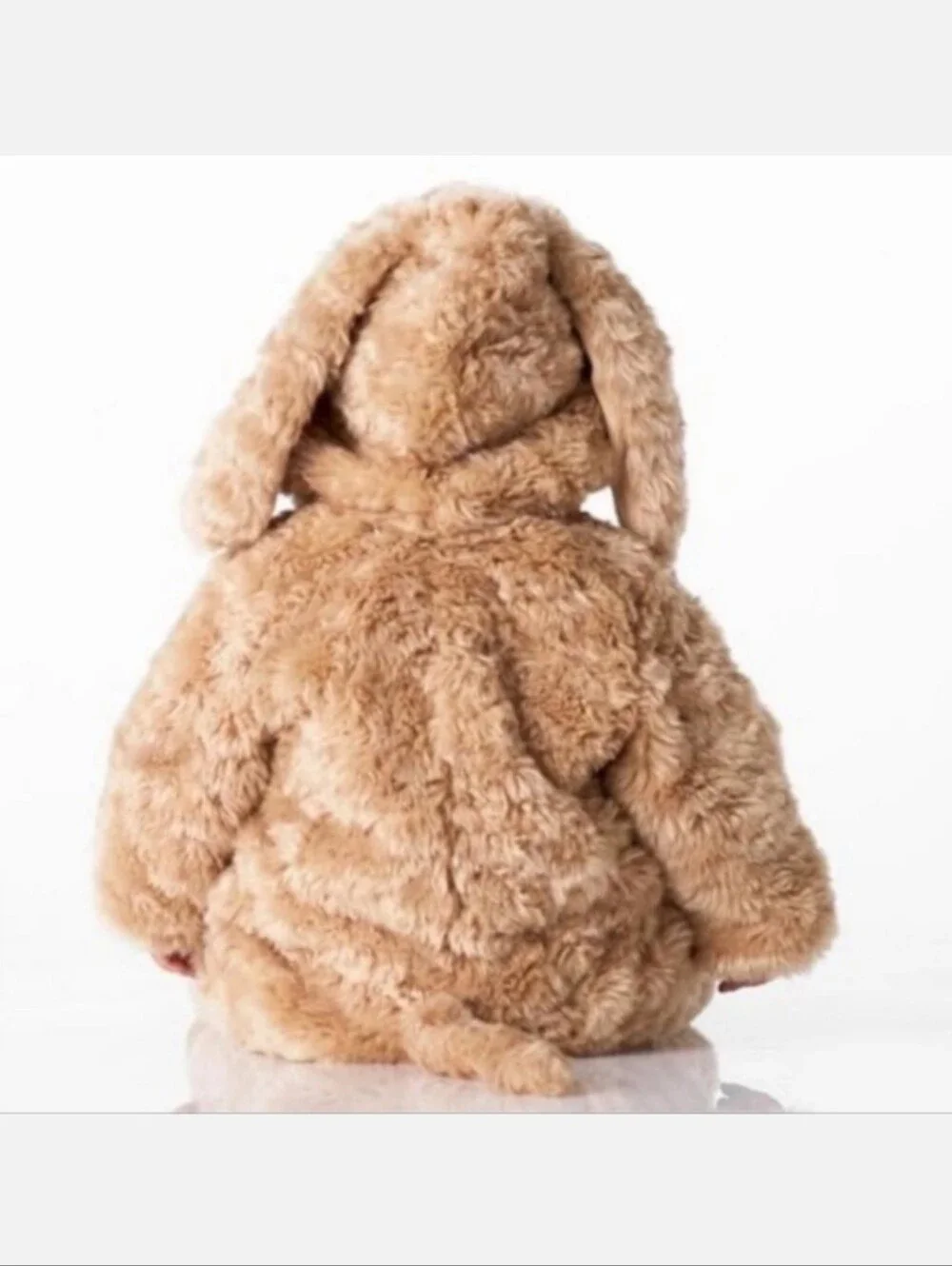 Pottery Barn Kids Baby Dog Costume Size 0-6 months NWT